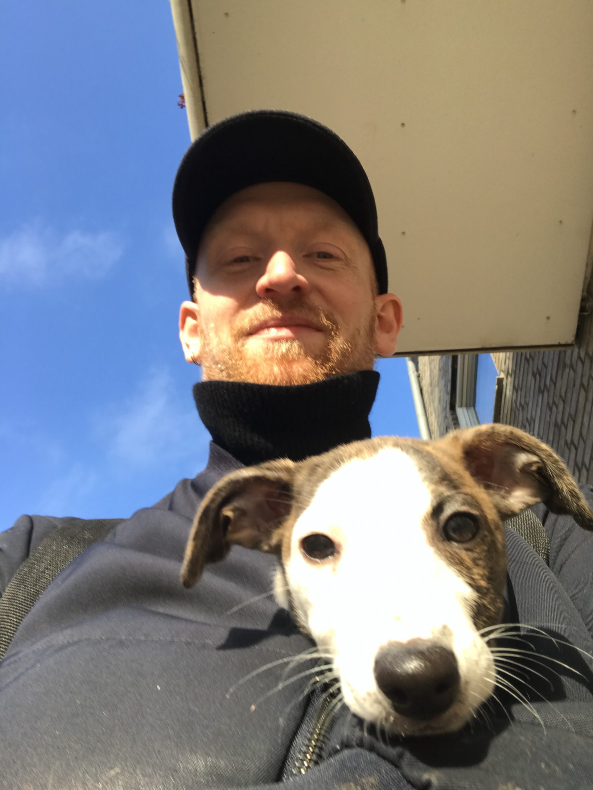 Whippethunden Ziggy som hvalp slapper af i jakken på sin far Brian Frandsen